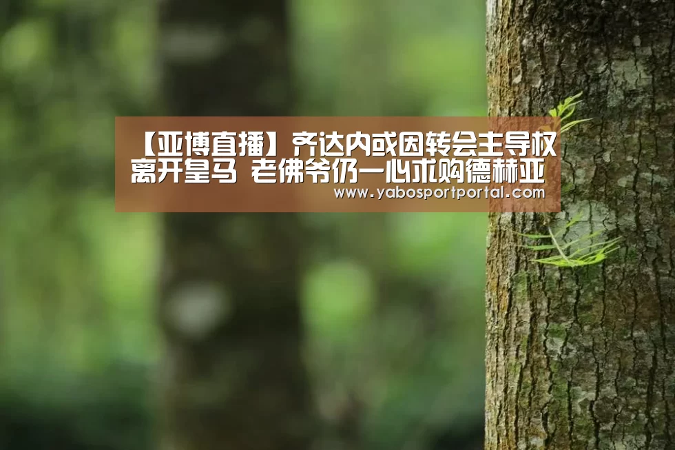【亚博直播】齐达内或因转会主导权离开皇马 老佛爷仍一心求购德赫亚(图3) 亚博游戏