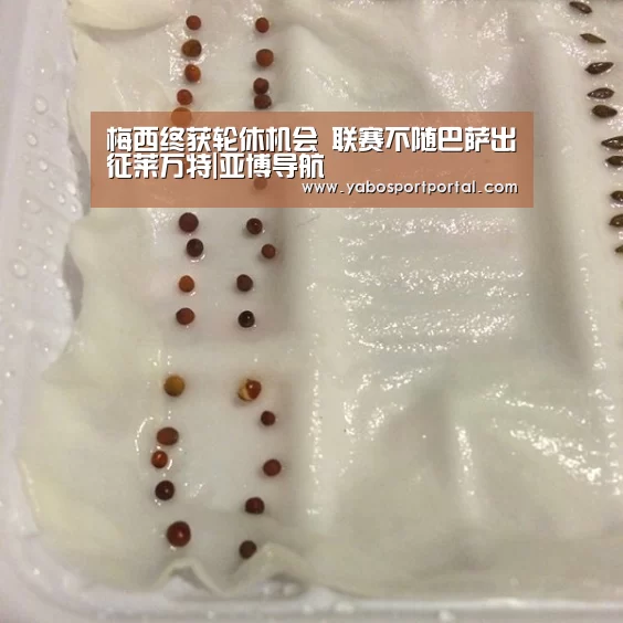 亚博直播